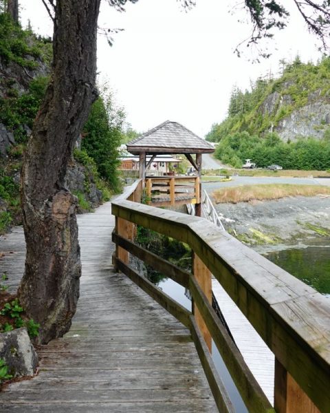 Telegraph Cove Marina & RV Park