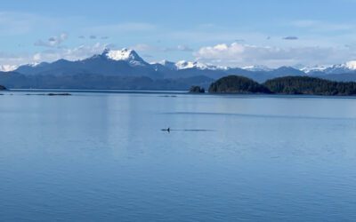 The Secrets of Telegraph Cove