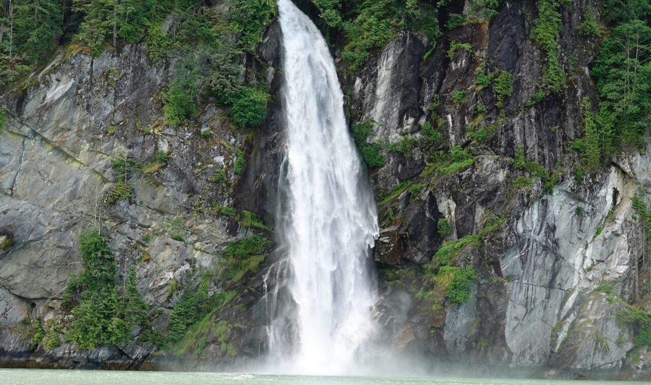 Telegraph Cove Attractions Telegraph Cove Marina & RV Park